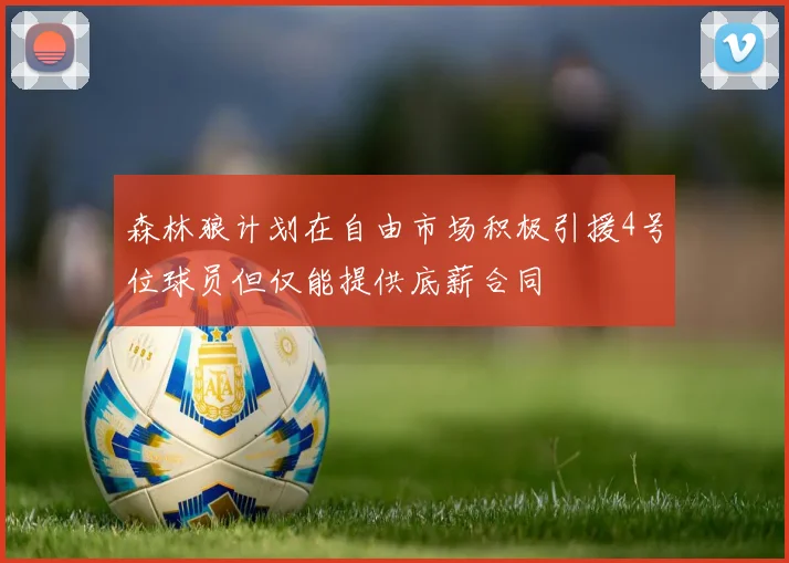 森林狼计划在自由市场积极引援4号位球员但仅能提供底薪合同