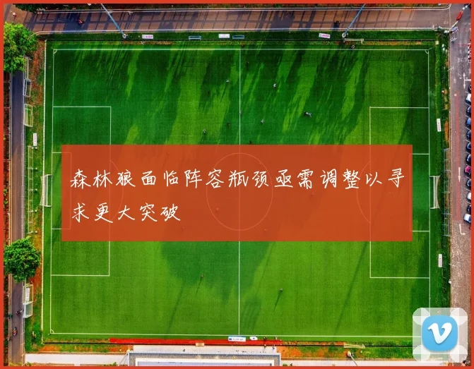 森林狼面临阵容瓶颈亟需调整以寻求更大突破
